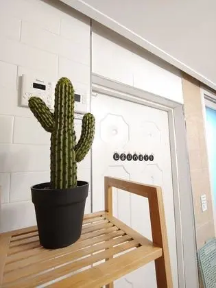 101