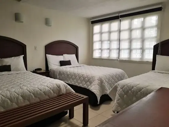 Business Üç Kişilik Oda, 3 Tek Kişilik Yatak, Bahçe Manzaralı, Bahçeli