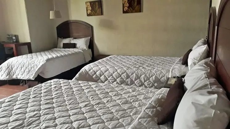 Business Üç Kişilik Oda, 3 Tek Kişilik Yatak, Bahçe Manzaralı, Bahçeli