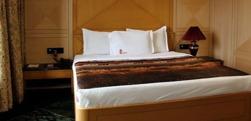 Deluxe Oda, 1 Çift Kişilik Yatak