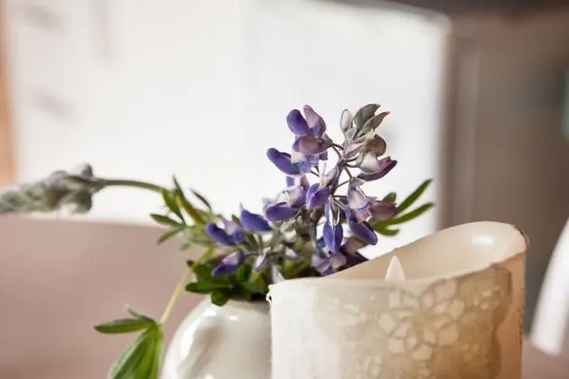 Kır Evi, 1 Yatak Odası, Bahçe Manzaralı