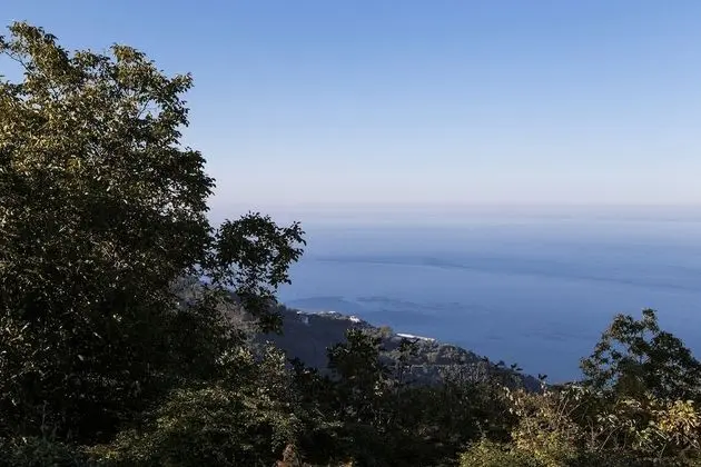 Tek Büyük Yataklı Oda, Deniz Manzaralı (Thalassa)