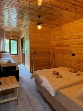 doğa ve dağ manzaralı 3 kişilik oda