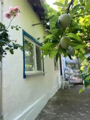 Aile Odası, Deniz ve Bahçe Manzaralı, Giriş Katı