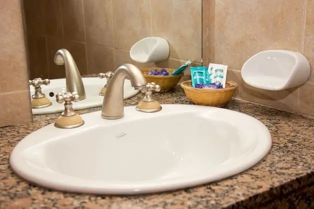 Standard Tek Büyük veya İki Ayrı Yataklı Oda, Bahçe Manzaralı