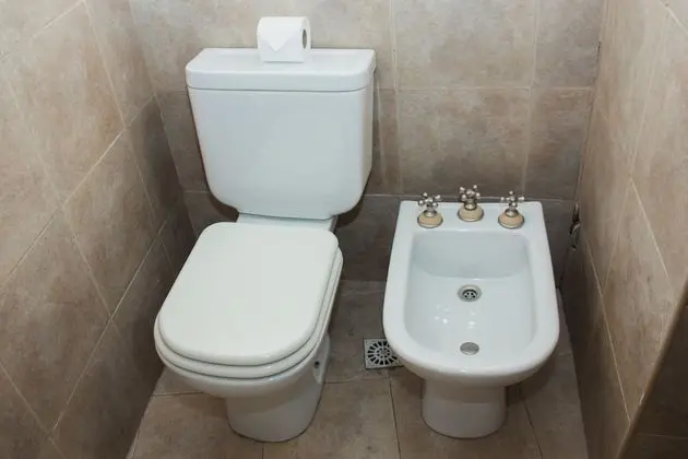 Standard Tek Büyük veya İki Ayrı Yataklı Oda, Bahçe Manzaralı
