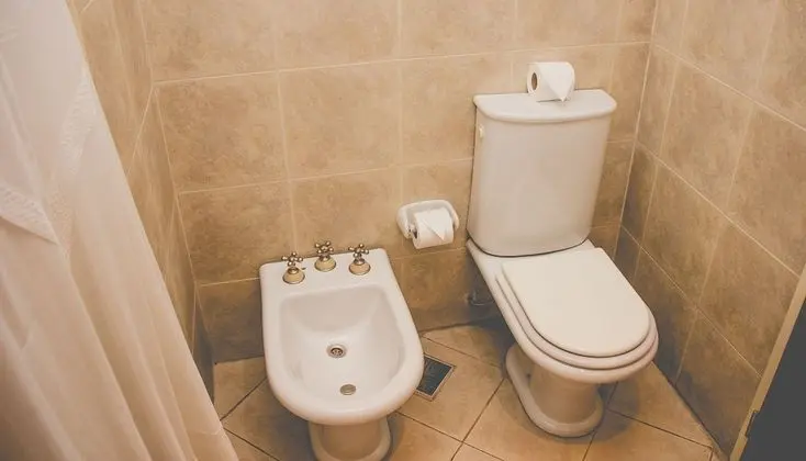 Standard Tek Büyük veya İki Ayrı Yataklı Oda, Bahçe Manzaralı