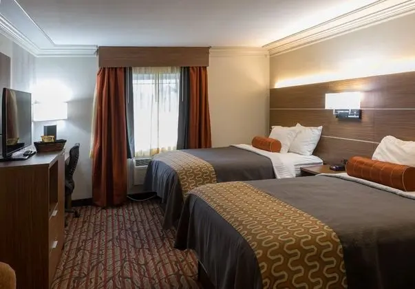 Deluxe Oda, Birden Çok Yatak