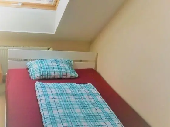 Standard Tek Büyük Yataklı Oda, Banyolu/Duşlu