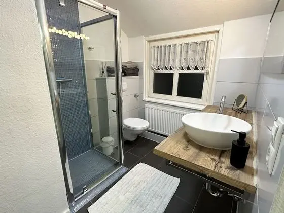 Apart Daire (Fledermaus)