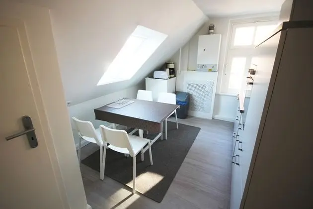 Apart Daire (Fledermaus)