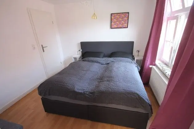 Apart Daire (Fledermaus)