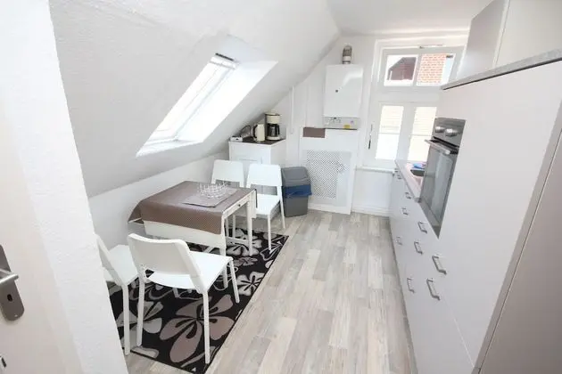 Apart Daire (Fledermaus)