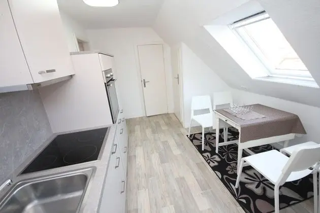 Apart Daire (Fledermaus)