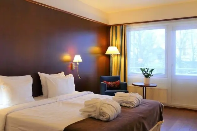 Superior Tek Büyük Yataklı Oda, 1 En Büyük (King) Boy Yatak, Şehir Manzaralı