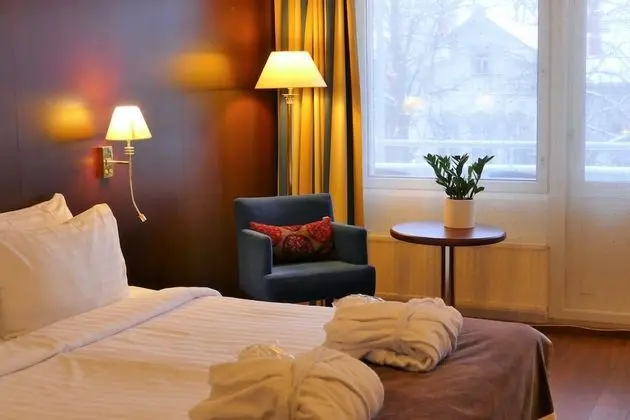 Superior Tek Büyük Yataklı Oda, 1 En Büyük (King) Boy Yatak, Şehir Manzaralı