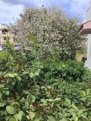 Ev, Birden Çok Yatak