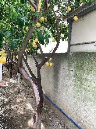 Ev, Birden Çok Yatak