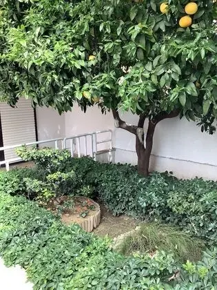 Ev, Birden Çok Yatak