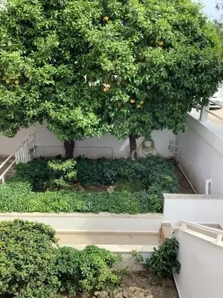 Ev, Birden Çok Yatak