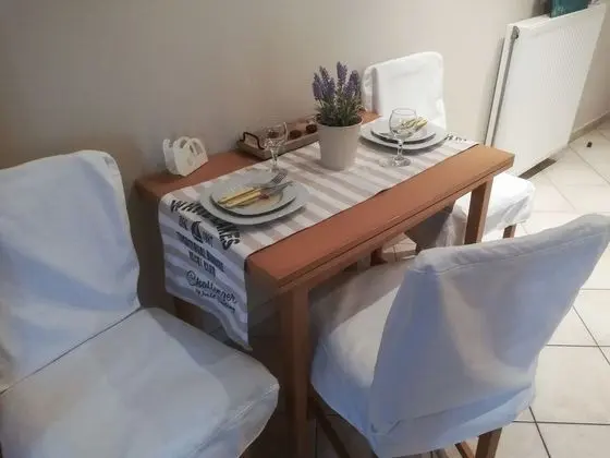 1 Odalı Apart Daire