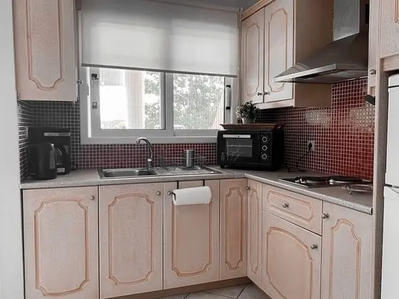 1 Odalı Apart Daire