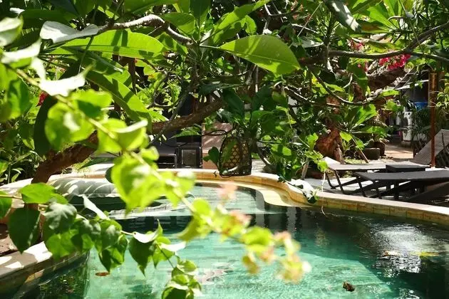 Villa, 1 Yatak Odası, Havuz Manzaralı, Havuz Kenarı