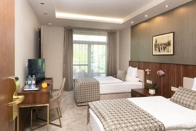 Deluxe Tek Büyük veya İki Ayrı Yataklı Oda