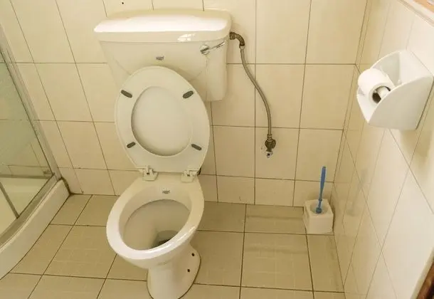 Executive Tek Büyük Yataklı Oda, Bahçe Manzaralı