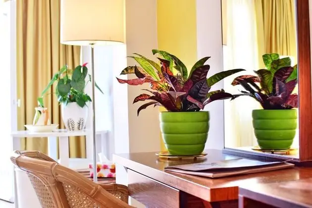 Superior Family Room