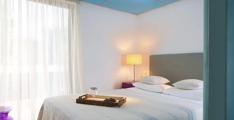 Comfort Tek Büyük Yataklı Oda, Bahçe Manzaralı