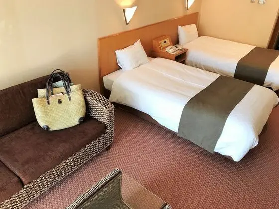 Standard İki Ayrı Yataklı Oda, Sigara İçilmez, Dağ Manzaralı