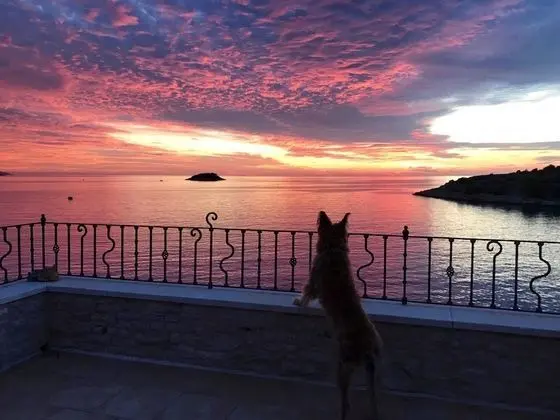 Superior Apart Daire, Deniz Manzaralı