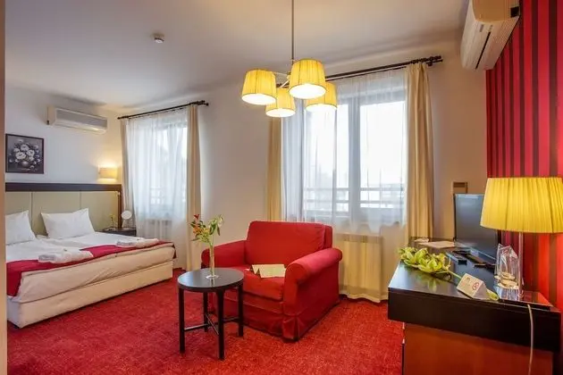 Standard Tek Büyük Yataklı Oda, 1 Yatak Odası, Şehir Manzaralı