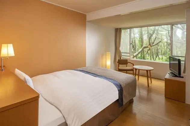 Tek Büyük Yataklı Oda, Sigara İçilmez (With shower booth)