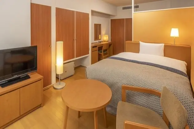 Tek Büyük Yataklı Oda, Sigara İçilmez (With shower booth)