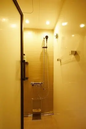 Tek Büyük Yataklı Oda, Sigara İçilmez (With shower booth)