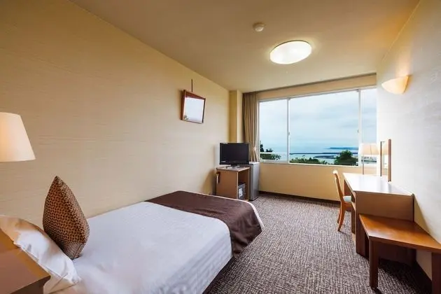 Standard Tek Büyük Yataklı Oda, Sigara İçilmez (With private bathroom, Semi-double)