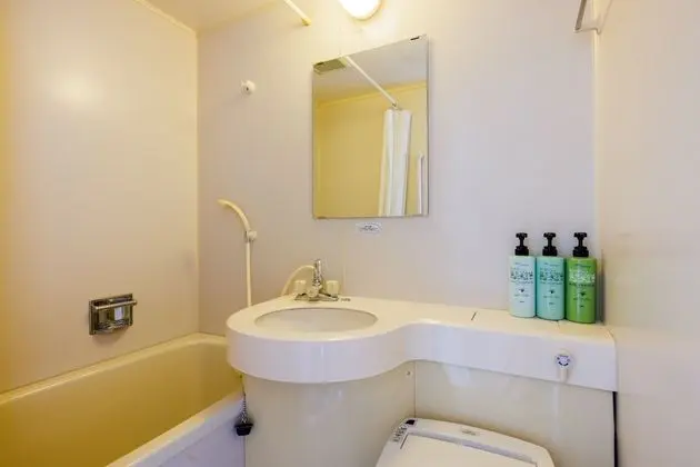 Standard Tek Büyük Yataklı Oda, Sigara İçilmez (With private bathroom, Semi-double)