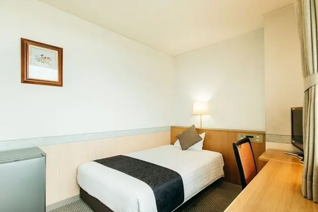 Tek Büyük Yataklı Oda, Sigara İçilmez (With private bathroom)