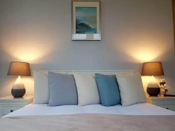 Superior Tek Büyük Yataklı Oda