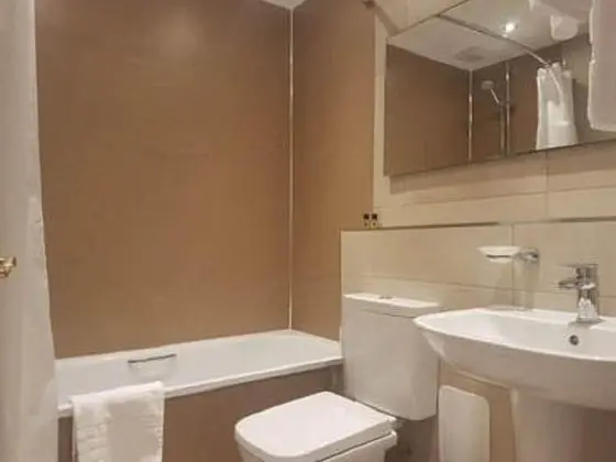 Superior Tek Büyük Yataklı Oda