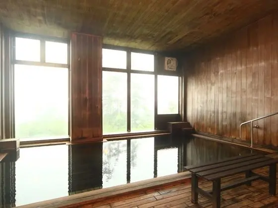 Traditional Oda, Sigara İçilmez, Ortak Banyo (Mountain View)