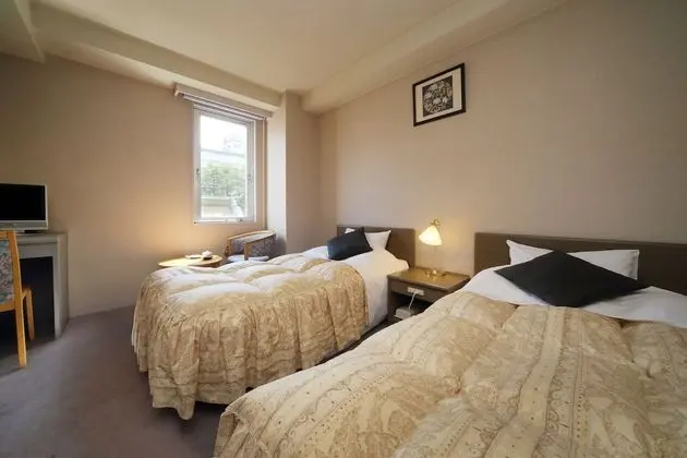 Standard İki Ayrı Yataklı Oda, Sigara İçilmez