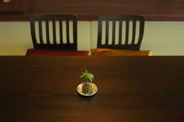 Traditional Oda (Japanese Style, 8 tatami,Kakei)
