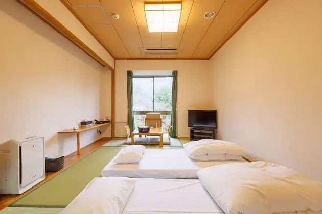 Traditional Oda, Sigara İçilmez, Bahçe Manzaralı