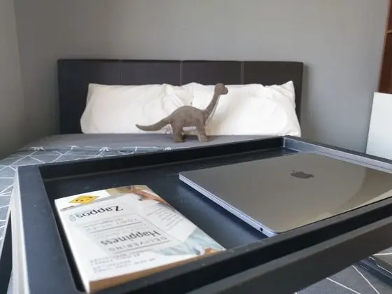 Deluxe Stüdyo Süit