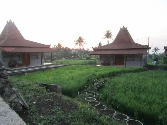 Superior Oda, 1 Büyük (Queen) Boy Yatak, Bahçe Manzaralı