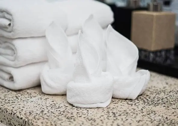 Luxury İki Ayrı Yataklı Oda