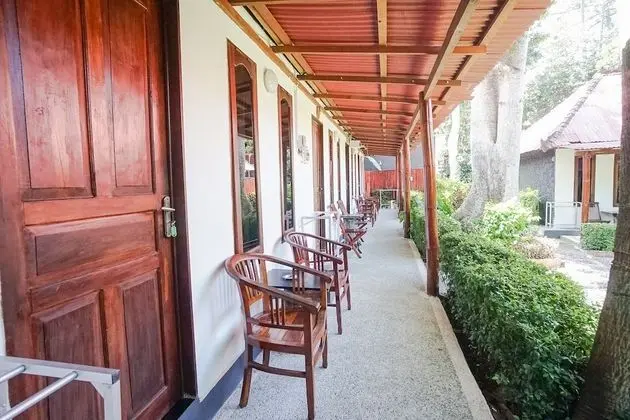 Standard Oda, Bahçe Manzaralı